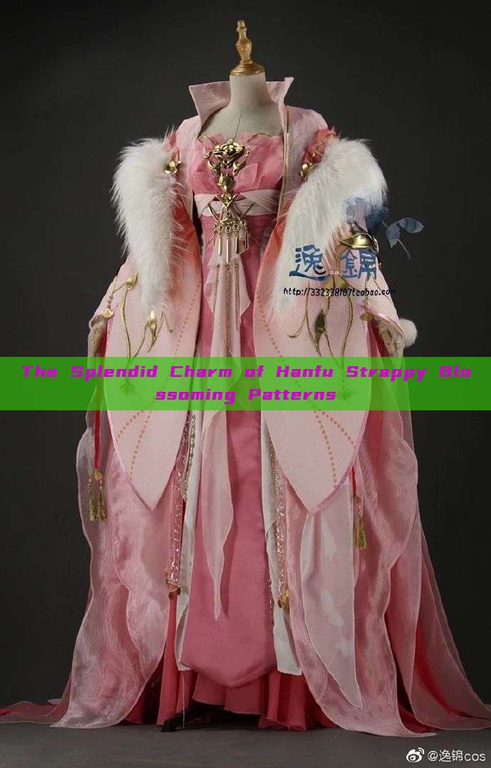 The Splendid Charm of Hanfu Strappy Blossoming Patterns The Splendid Charm of Hanfu Strappy Blossoming Patterns