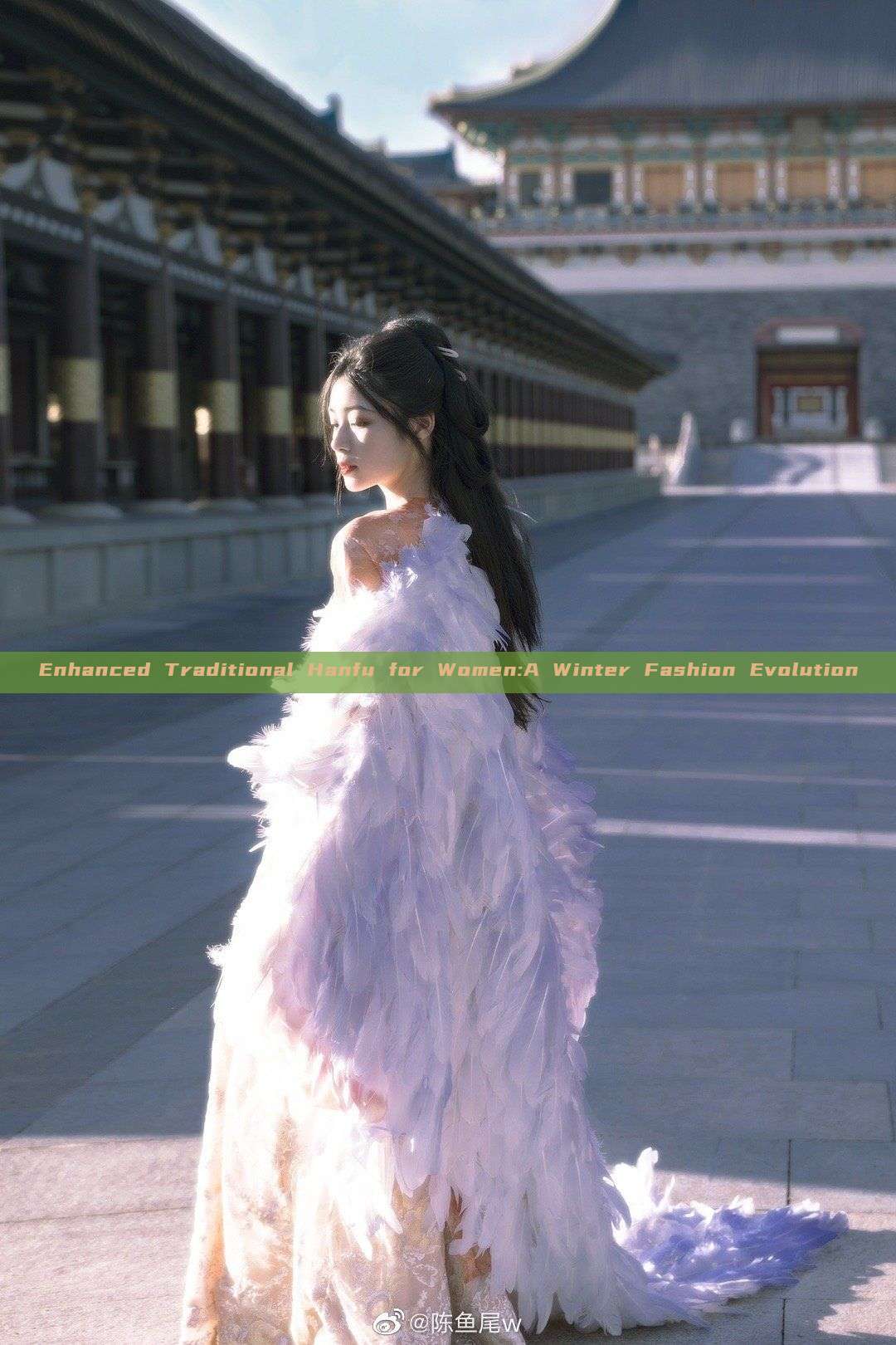 Enhanced Traditional Hanfu for Women:A Winter Fashion Evolution Enhanced Traditional Hanfu for Women:A Winter Fashion Evolution