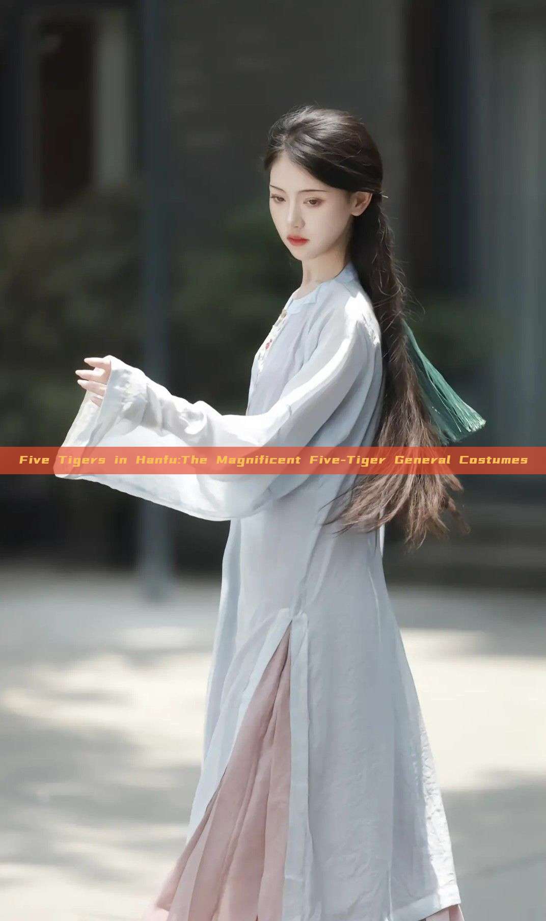Five Tigers in Hanfu:The Magnificent Five-Tiger General Costumes Five Tigers in Hanfu:The Magnificent Five-Tiger General Costumes