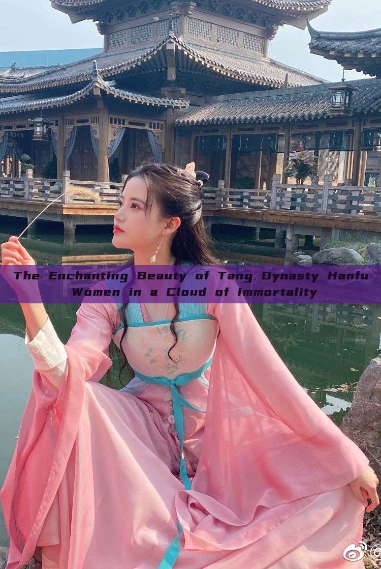 The Enchanting Beauty of Tang Dynasty Hanfu Women in a Cloud of Immortality The Enchanting Beauty of Tang Dynasty Hanfu Women in a Cloud of Immortality