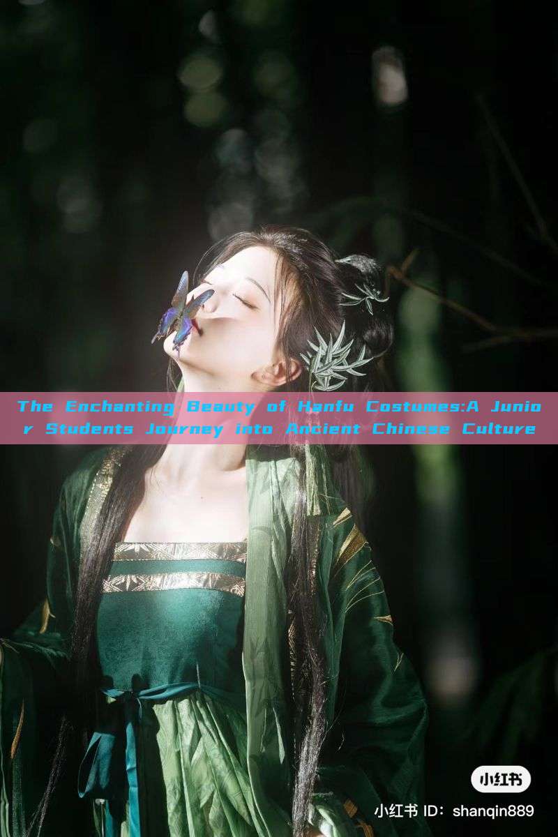 The Enchanting Beauty of Hanfu Costumes:A Junior Students Journey into Ancient Chinese Culture The Enchanting Beauty of Hanfu Costumes:A Junior Students Journey into Ancient Chinese Culture