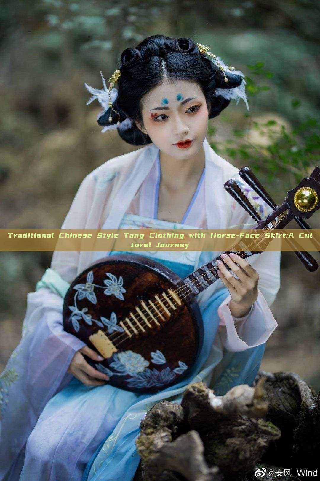 Traditional Chinese Style Tang Clothing with Horse-Face Skirt:A Cultural Journey Traditional Chinese Style Tang Clothing with Horse-Face Skirt:A Cultural Journey