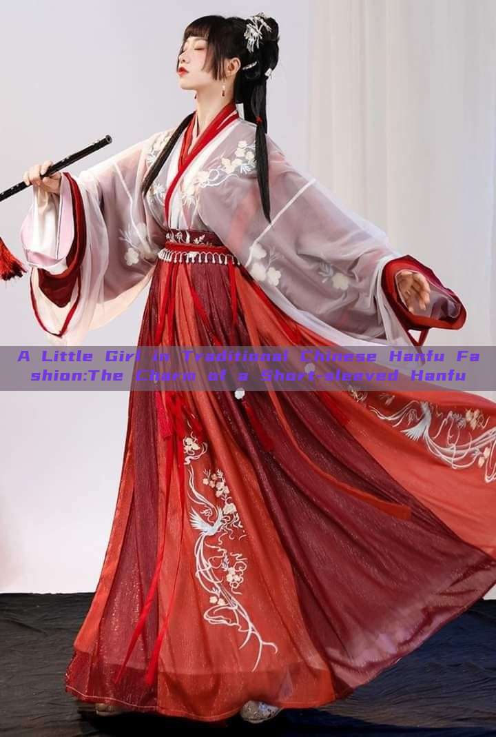 A Little Girl in Traditional Chinese Hanfu Fashion:The Charm of a Short-sleeved Hanfu A Little Girl in Traditional Chinese Hanfu Fashion:The Charm of a Short-sleeved Hanfu