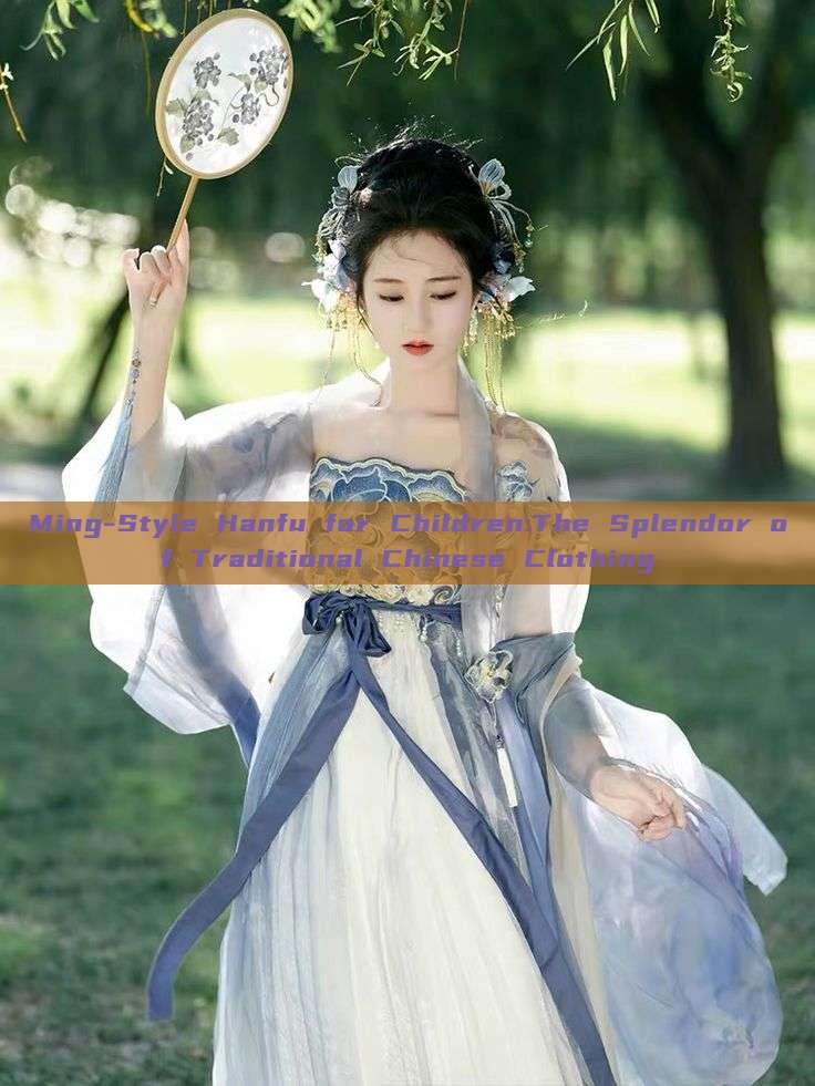 Ming-Style Hanfu for Children:The Splendor of Traditional Chinese Clothing Ming-Style Hanfu for Children:The Splendor of Traditional Chinese Clothing
