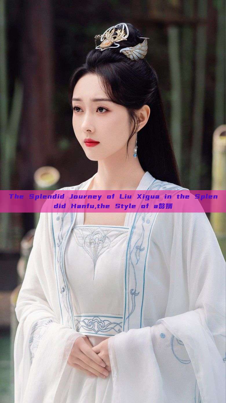 The Splendid Journey of Liu Xigua in the Splendid Hanfu,the Style of a赘婿 The Splendid Journey of Liu Xigua in the Splendid Hanfu,the Style of a赘婿