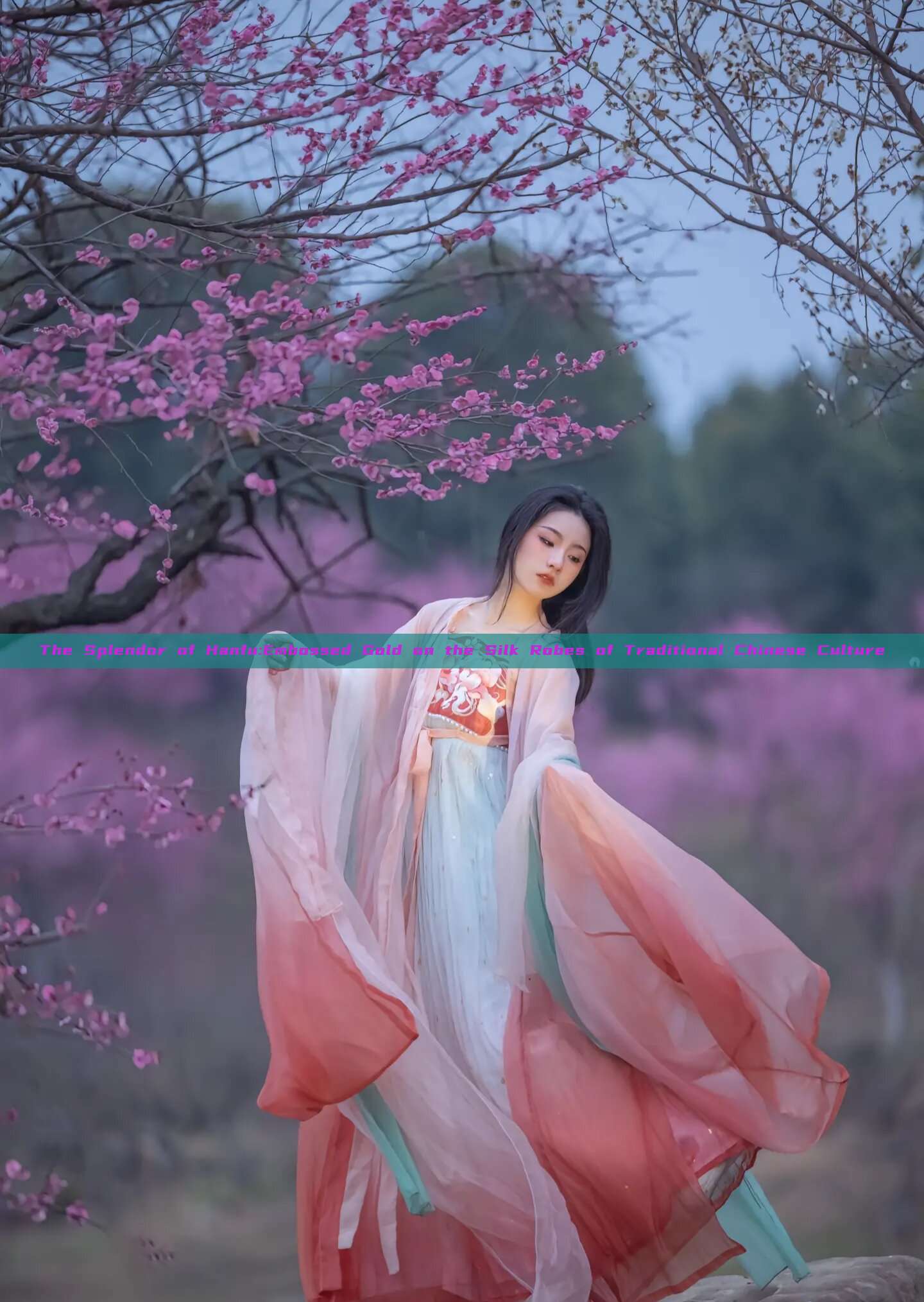 The Splendor of Hanfu:Embossed Gold on the Silk Robes of Traditional Chinese Culture The Splendor of Hanfu:Embossed Gold on the Silk Robes of Traditional Chinese Culture