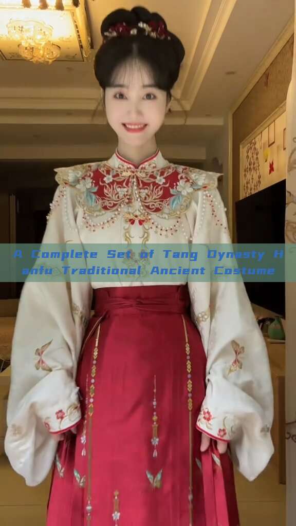 A Complete Set of Tang Dynasty Hanfu Traditional Ancient Costume A Complete Set of Tang Dynasty Hanfu Traditional Ancient Costume