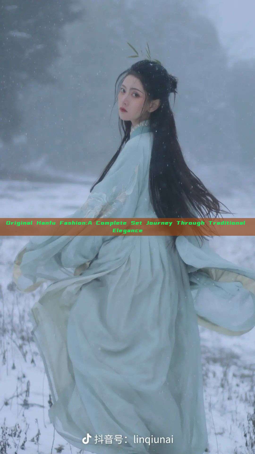 Original Hanfu Fashion:A Complete Set Journey Through Traditional Elegance Original Hanfu Fashion:A Complete Set Journey Through Traditional Elegance