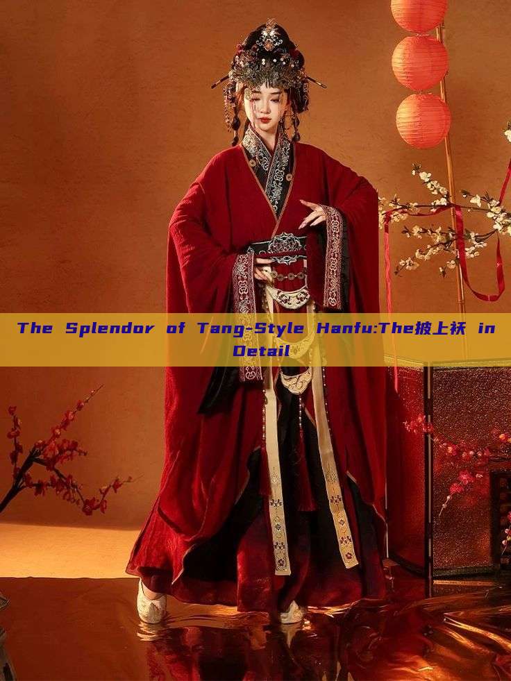 The Splendor of Tang-Style Hanfu:The披上袄 in Detail The Splendor of Tang-Style Hanfu:The披上袄 in Detail