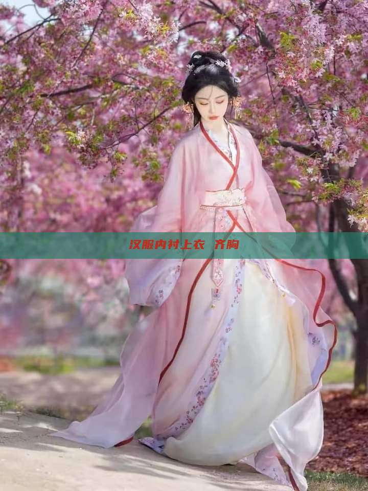 汉服内衬上衣 齐胸 汉服内衬上衣 齐胸