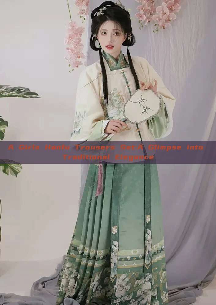 A Girls Hanfu Trousers Set:A Glimpse into Traditional Elegance A Girls Hanfu Trousers Set:A Glimpse into Traditional Elegance
