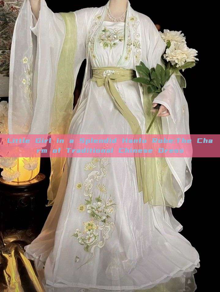Little Girl in a Splendid Hanfu Robe:The Charm of Traditional Chinese Dress Little Girl in a Splendid Hanfu Robe:The Charm of Traditional Chinese Dress