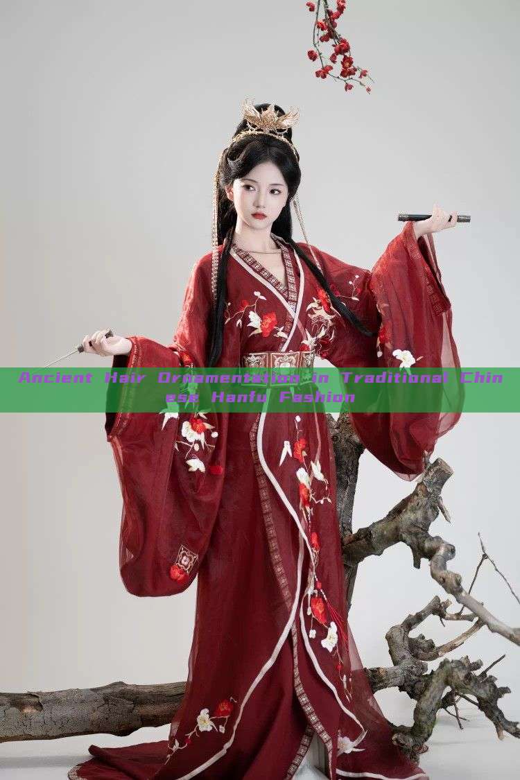 Ancient Hair Ornamentation in Traditional Chinese Hanfu Fashion