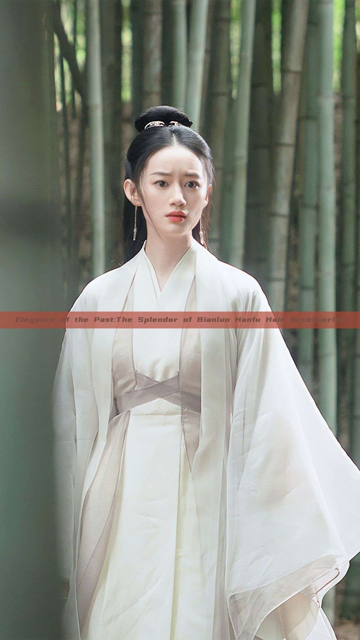 Elegance of the Past:The Splendor of Bianluo Hanfu Hair Accessories Elegance of the Past:The Splendor of Bianluo Hanfu Hair Accessories