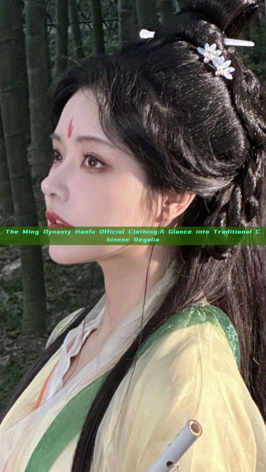 The Ming Dynasty Hanfu Official Clothing:A Glance into Traditional Chinese Regalia The Ming Dynasty Hanfu Official Clothing:A Glance into Traditional Chinese Regalia
