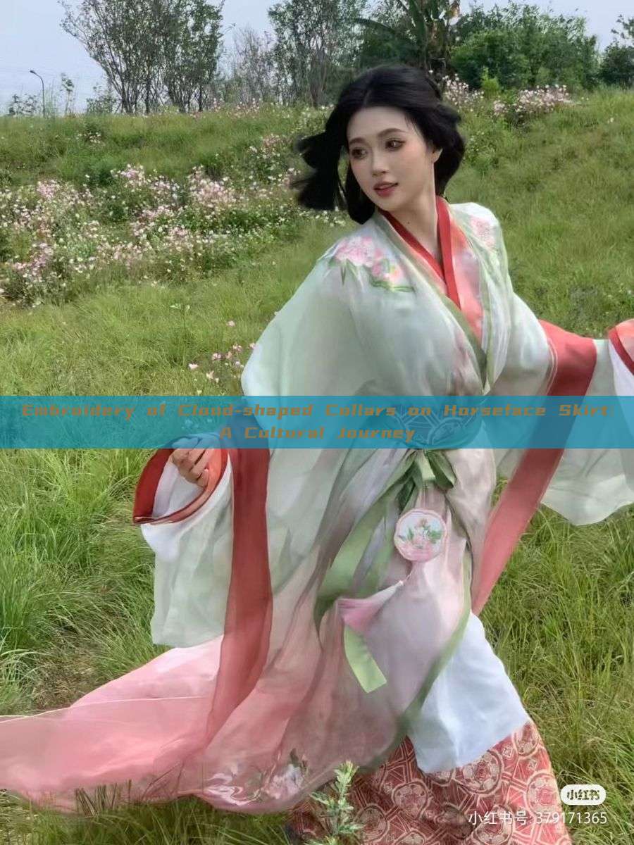 Embroidery of Cloud-shaped Collars on Horseface Skirt:A Cultural Journey Embroidery of Cloud-shaped Collars on Horseface Skirt:A Cultural Journey