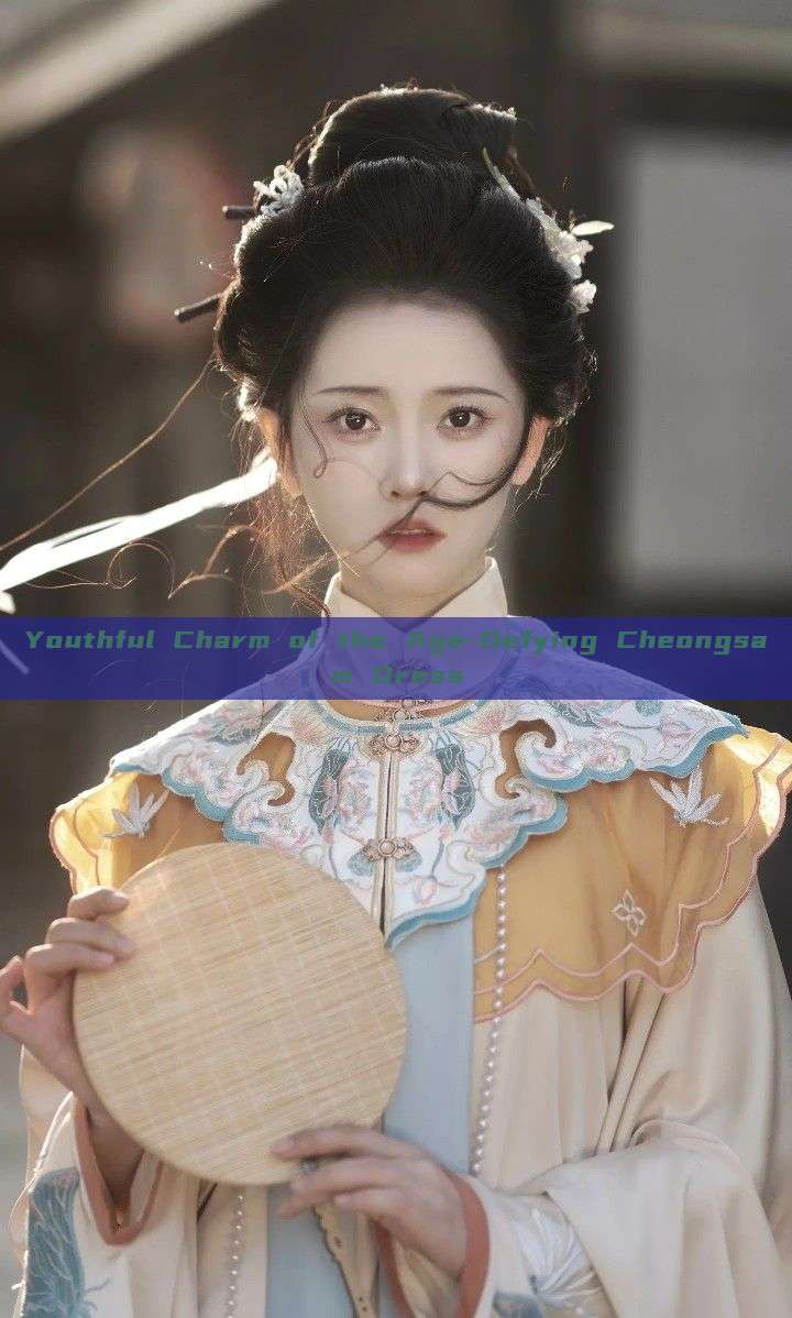Youthful Charm of the Age-Defying Cheongsam Dress Youthful Charm of the Age-Defying Cheongsam Dress