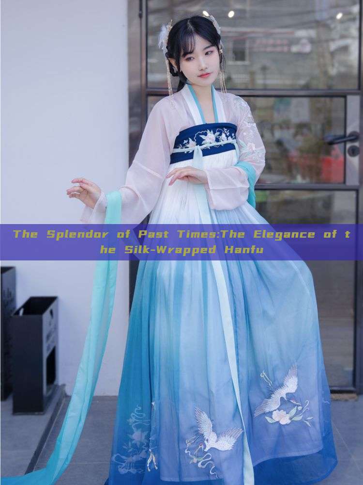 The Splendor of Past Times:The Elegance of the Silk-Wrapped Hanfu The Splendor of Past Times:The Elegance of the Silk-Wrapped Hanfu
