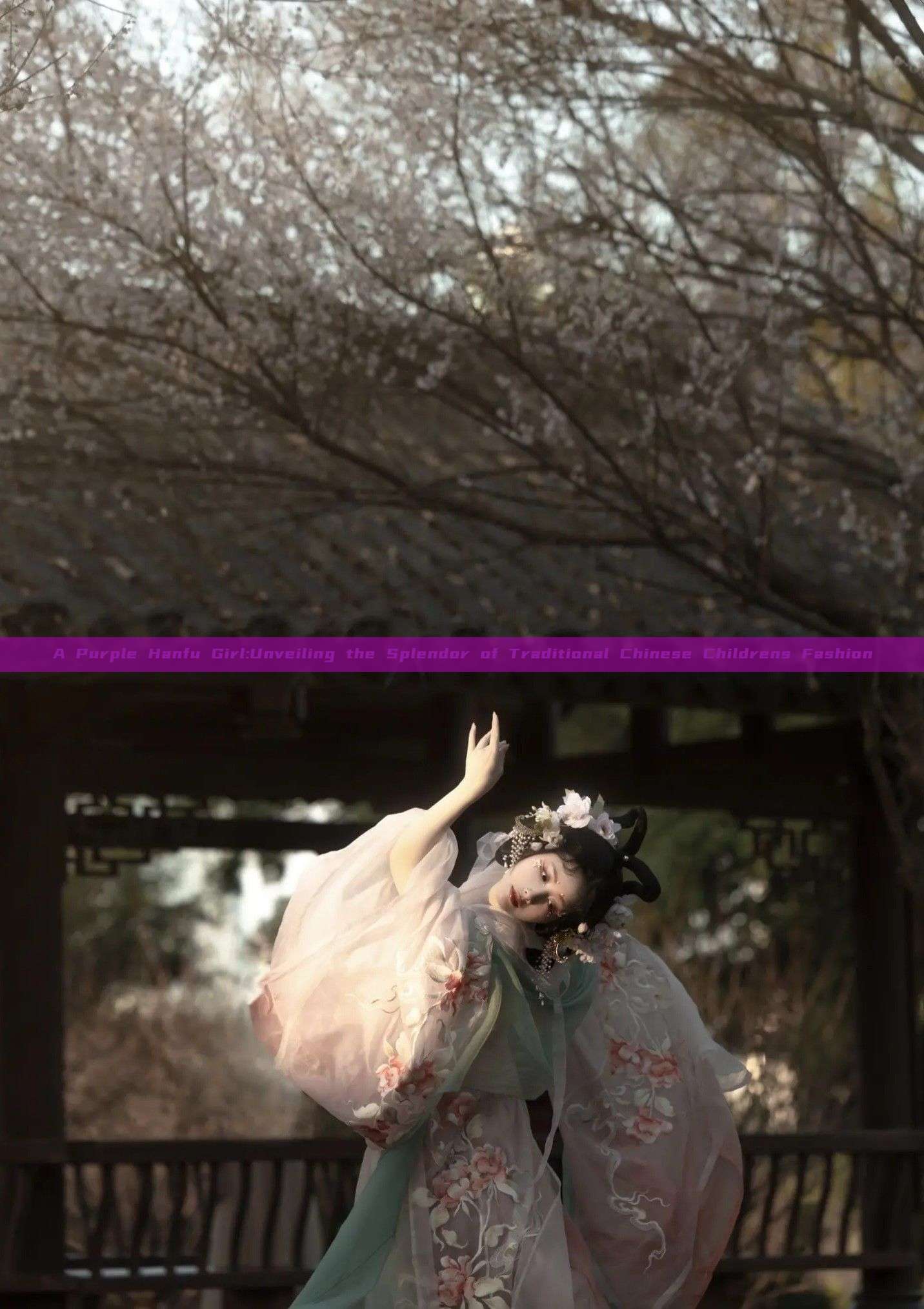 A Purple Hanfu Girl:Unveiling the Splendor of Traditional Chinese Childrens Fashion A Purple Hanfu Girl:Unveiling the Splendor of Traditional Chinese Childrens Fashion