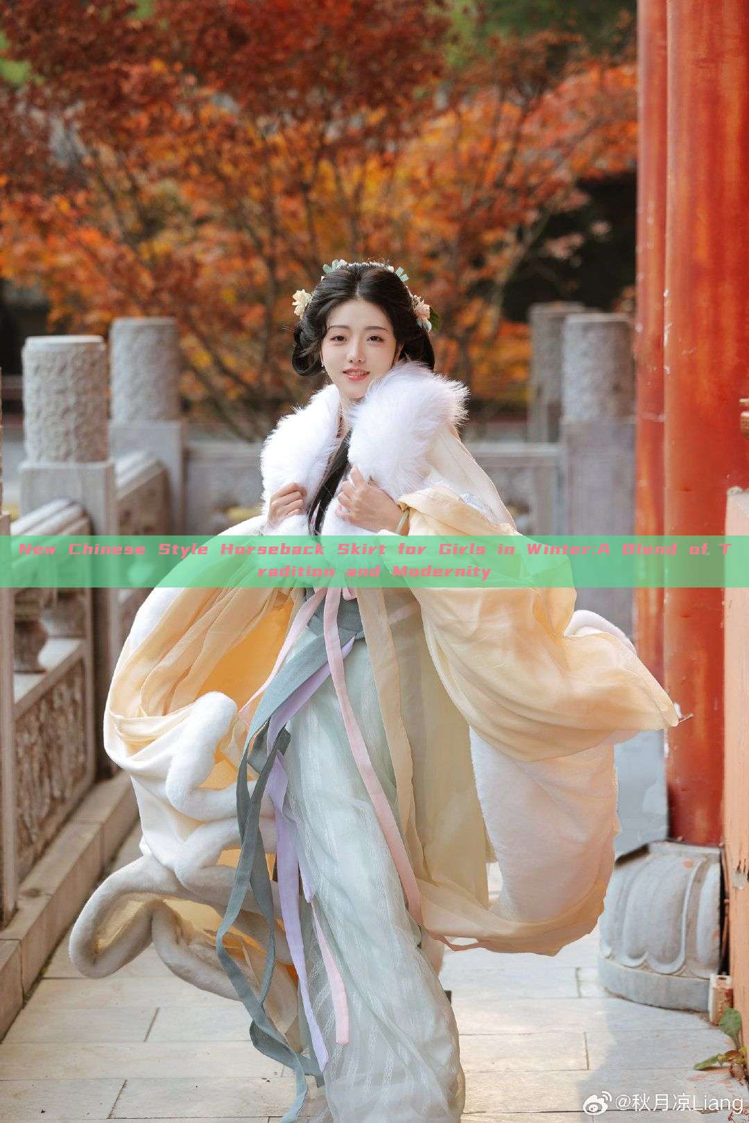 New Chinese Style Horseback Skirt for Girls in Winter:A Blend of Tradition and Modernity New Chinese Style Horseback Skirt for Girls in Winter:A Blend of Tradition and Modernity