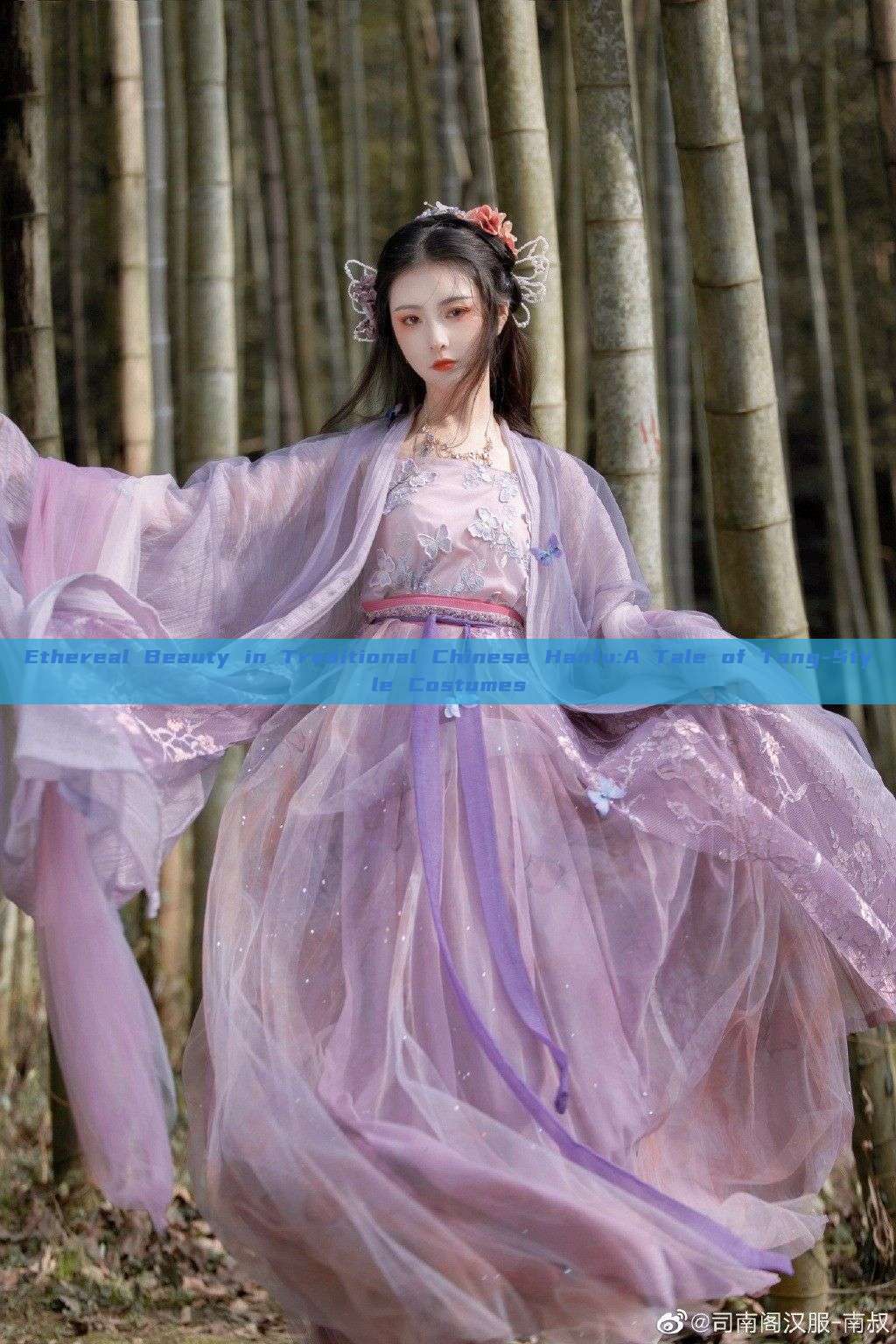 Ethereal Beauty in Traditional Chinese Hanfu:A Tale of Tang-Style Costumes Ethereal Beauty in Traditional Chinese Hanfu:A Tale of Tang-Style Costumes