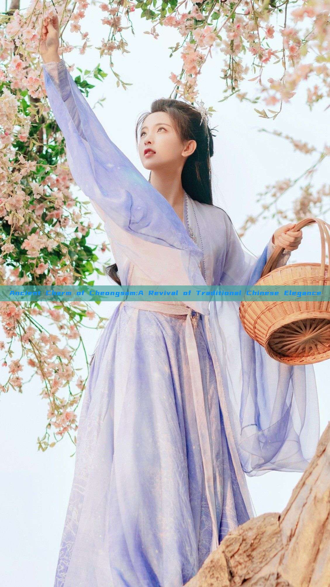 Ancient Charm of Cheongsam:A Revival of Traditional Chinese Elegance Ancient Charm of Cheongsam:A Revival of Traditional Chinese Elegance