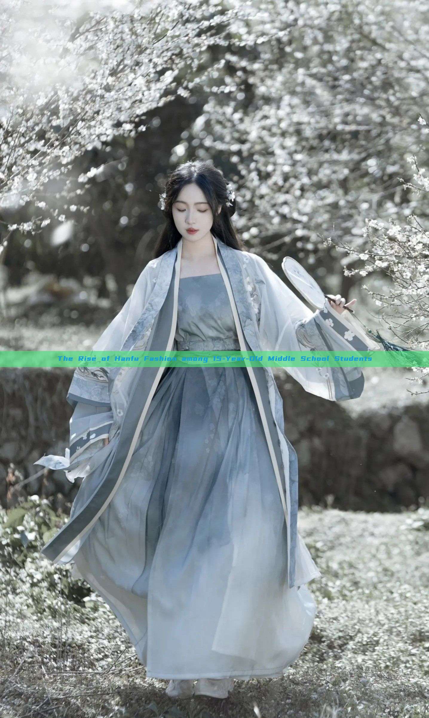 The Rise of Hanfu Fashion among 15-Year-Old Middle School Students The Rise of Hanfu Fashion among 15-Year-Old Middle School Students