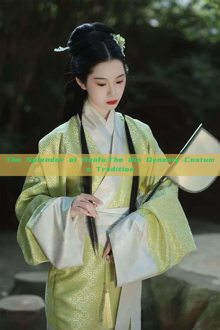 The Splendor of Hanfu:The Qin Dynasty Costume Tradition The Splendor of Hanfu:The Qin Dynasty Costume Tradition