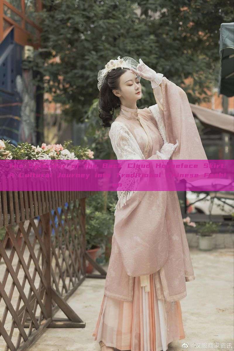 The Splendor of the Back Cloud Horseface Skirt:A Cultural Journey into Traditional Chinese Fashion The Splendor of the Back Cloud Horseface Skirt:A Cultural Journey into Traditional Chinese Fashion
