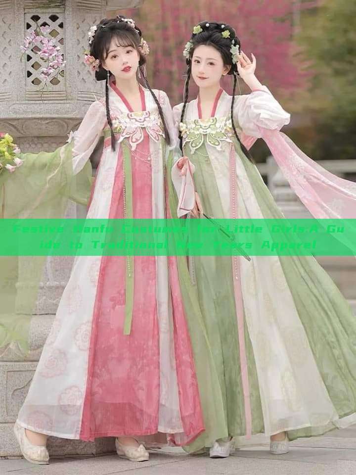 Festive Hanfu Costumes for Little Girls:A Guide to Traditional New Years Apparel Festive Hanfu Costumes for Little Girls:A Guide to Traditional New Years Apparel