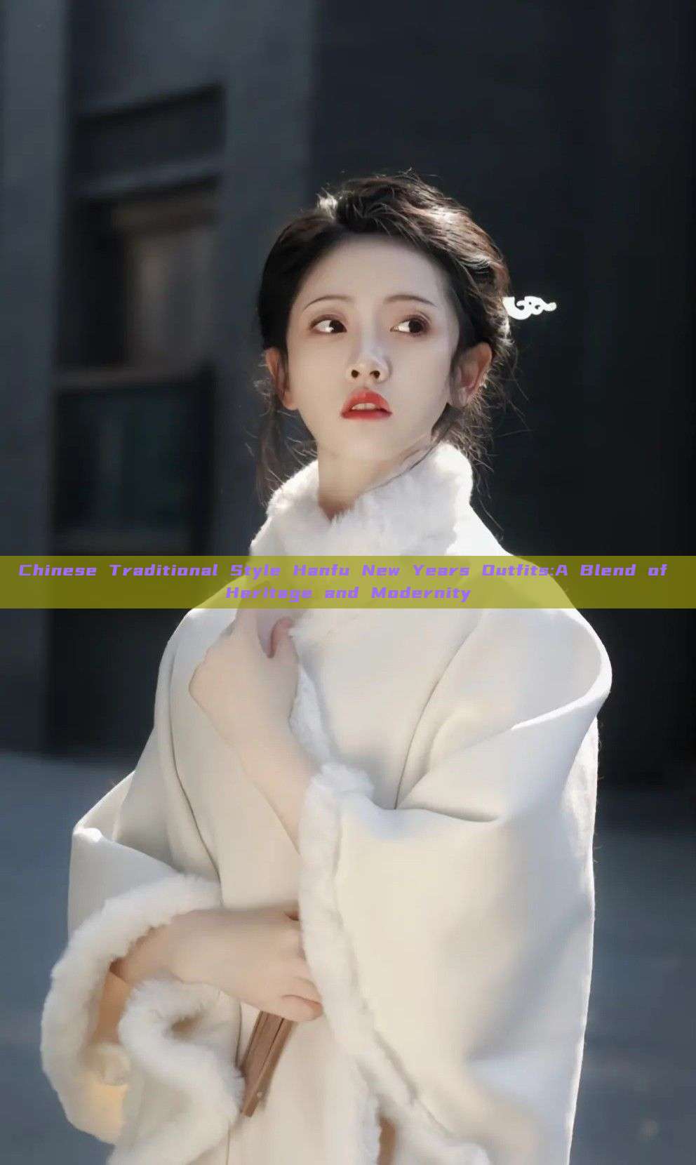 Chinese Traditional Style Hanfu New Years Outfits:A Blend of Heritage and Modernity Chinese Traditional Style Hanfu New Years Outfits:A Blend of Heritage and Modernity
