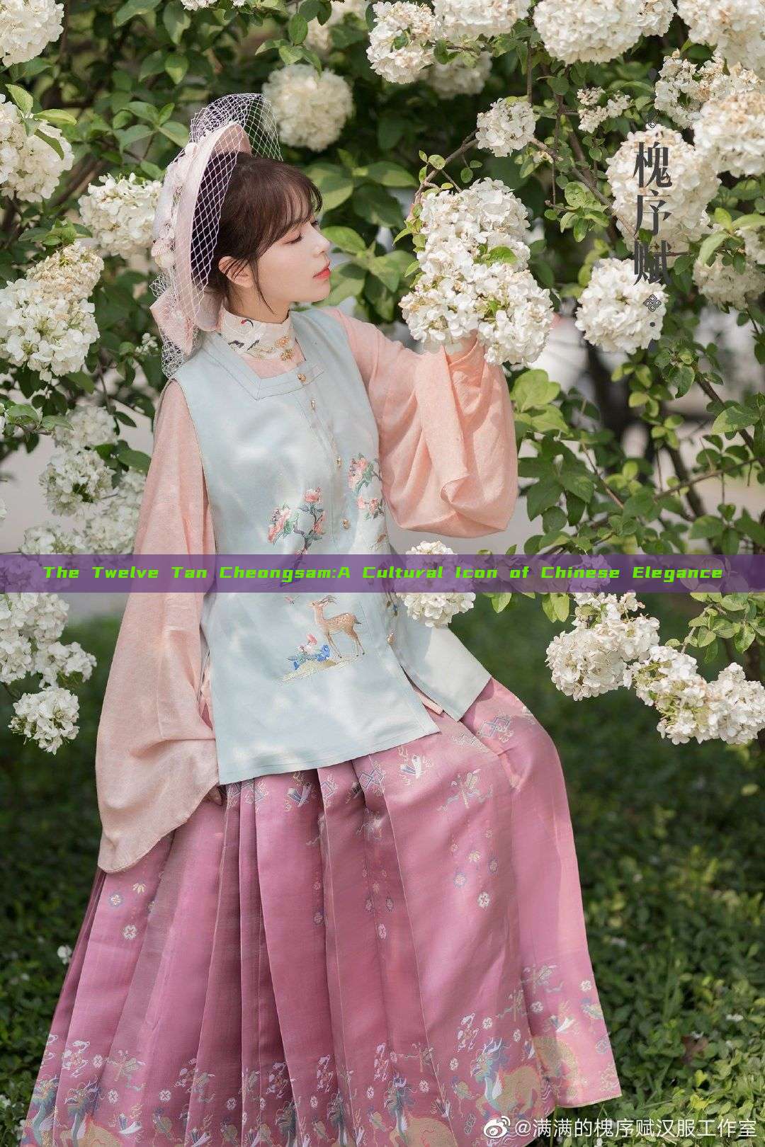The Twelve Tan Cheongsam:A Cultural Icon of Chinese Elegance The Twelve Tan Cheongsam:A Cultural Icon of Chinese Elegance