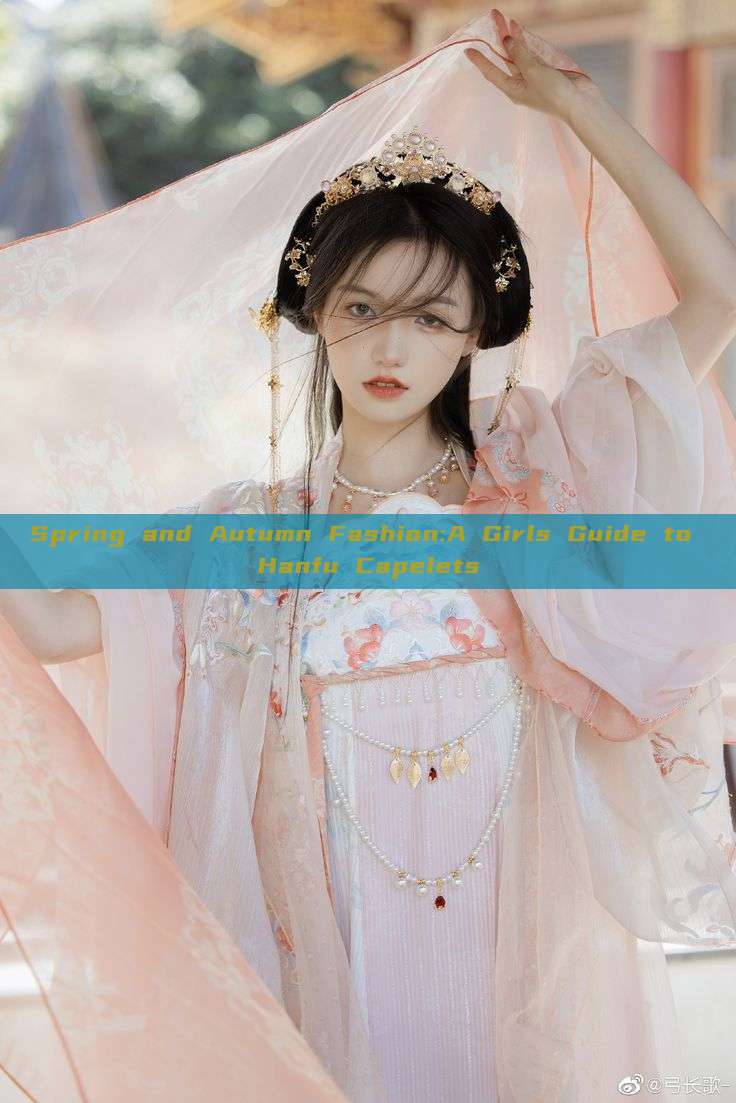 Spring and Autumn Fashion:A Girls Guide to Hanfu Capelets Spring and Autumn Fashion:A Girls Guide to Hanfu Capelets