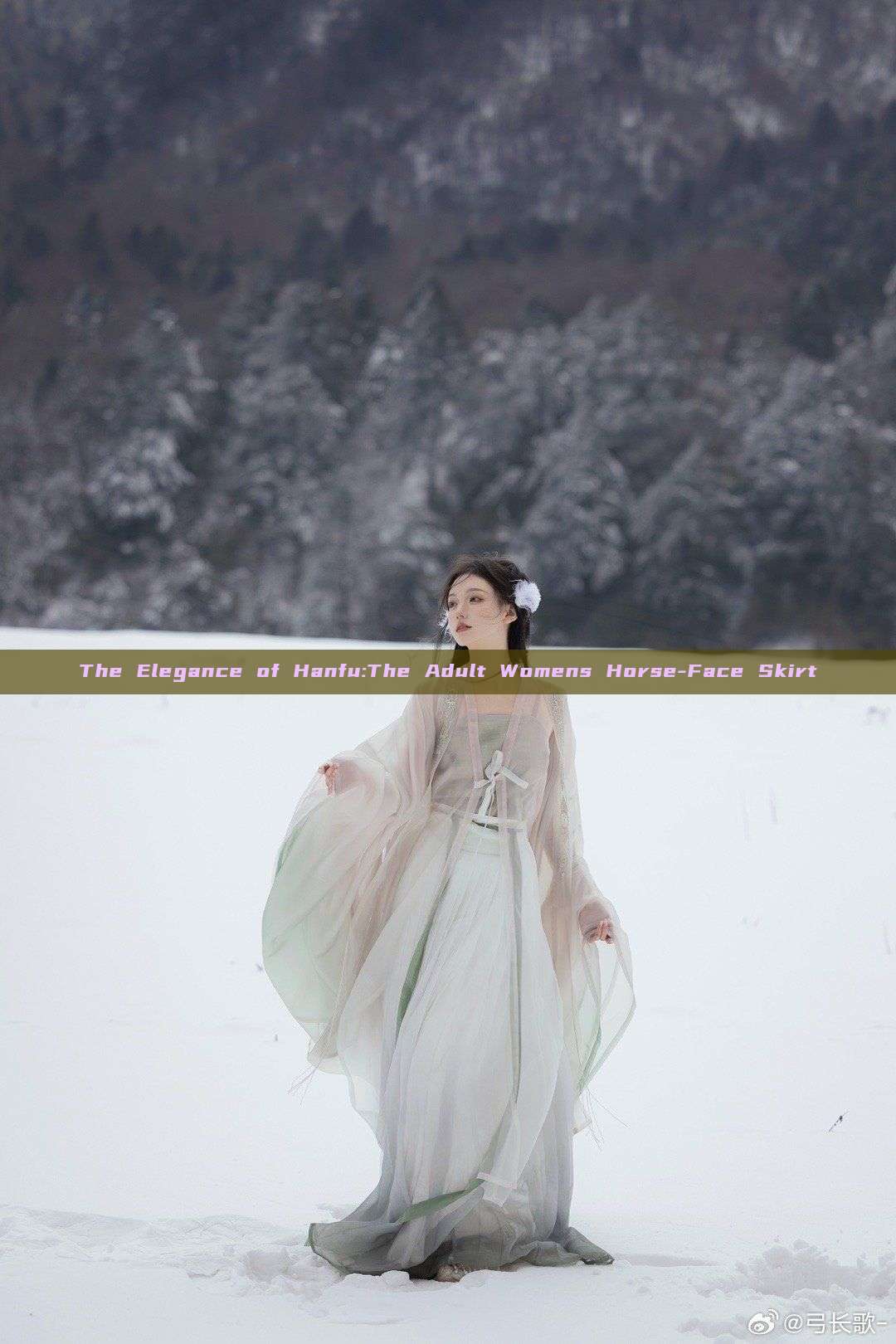 The Elegance of Hanfu:The Adult Womens Horse-Face Skirt The Elegance of Hanfu:The Adult Womens Horse-Face Skirt