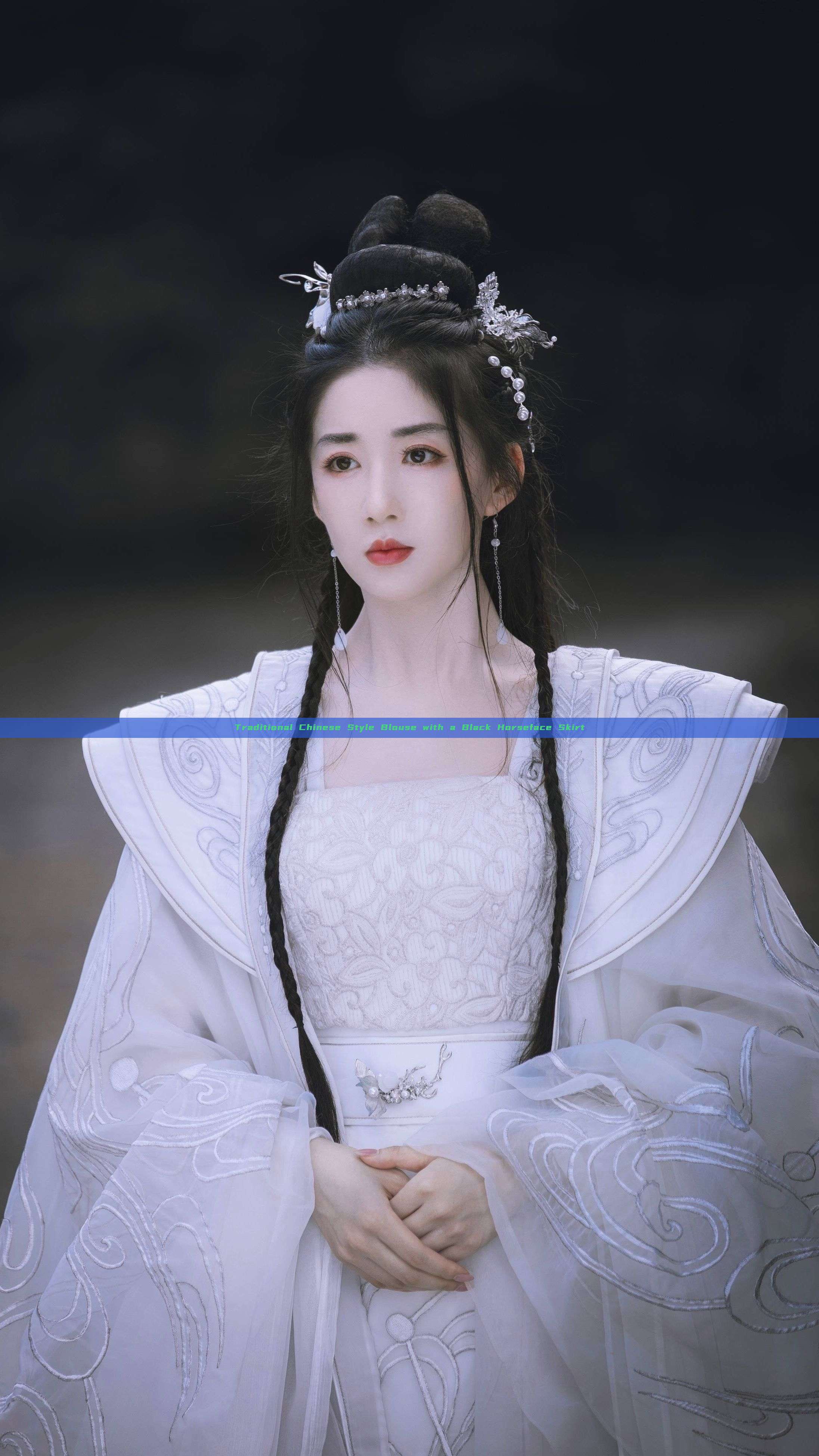Traditional Chinese Style Blouse with a Black Horseface Skirt Traditional Chinese Style Blouse with a Black Horseface Skirt