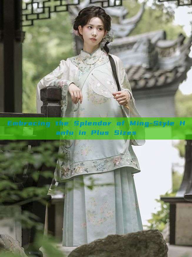 Embracing the Splendor of Ming-Style Hanfu in Plus Sizes Embracing the Splendor of Ming-Style Hanfu in Plus Sizes
