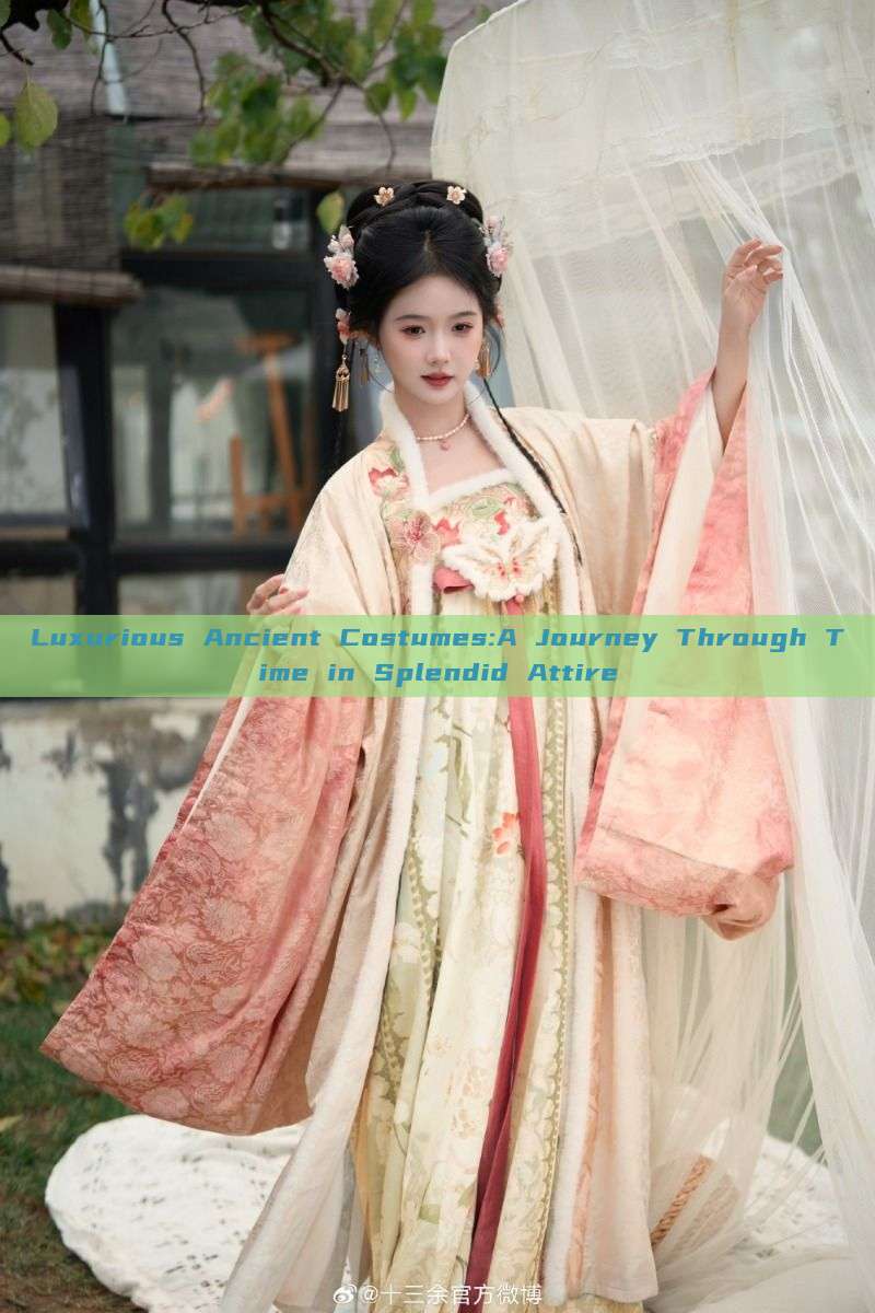 Luxurious Ancient Costumes:A Journey Through Time in Splendid Attire Luxurious Ancient Costumes:A Journey Through Time in Splendid Attire