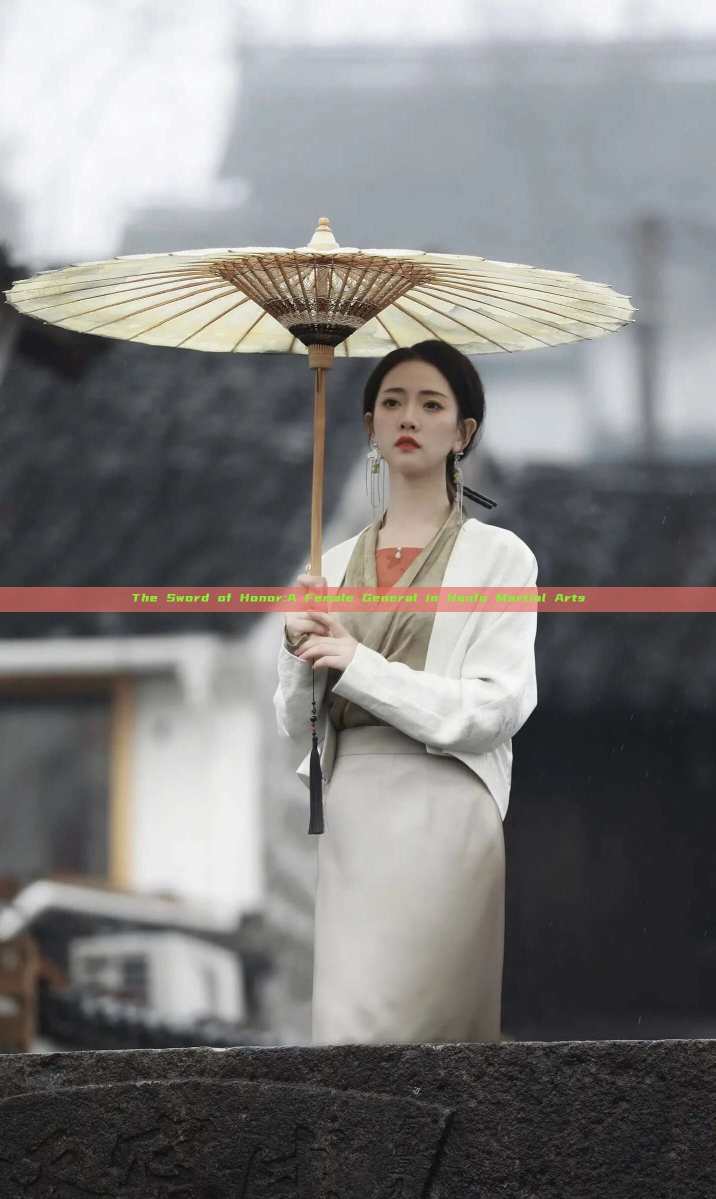 The Sword of Honor:A Female General in Hanfu Martial Arts The Sword of Honor:A Female General in Hanfu Martial Arts