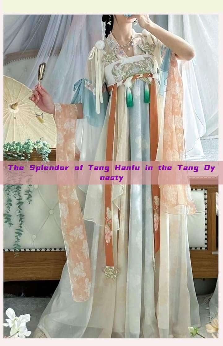 The Splendor of Tang Hanfu in the Tang Dynasty The Splendor of Tang Hanfu in the Tang Dynasty