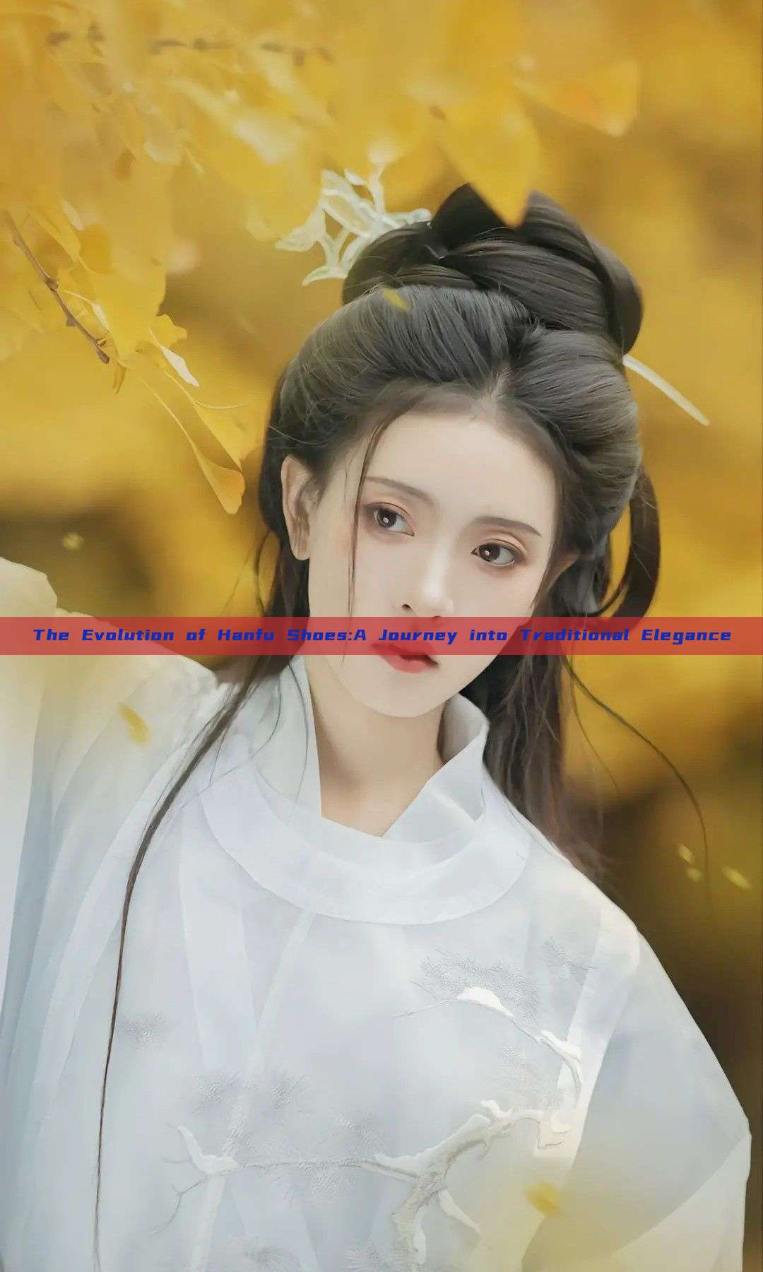 The Evolution of Hanfu Shoes:A Journey into Traditional Elegance The Evolution of Hanfu Shoes:A Journey into Traditional Elegance