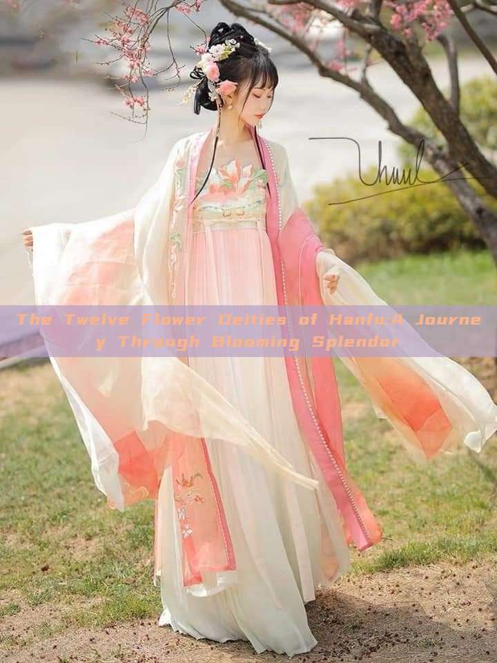 The Twelve Flower Deities of Hanfu:A Journey Through Blooming Splendor The Twelve Flower Deities of Hanfu:A Journey Through Blooming Splendor