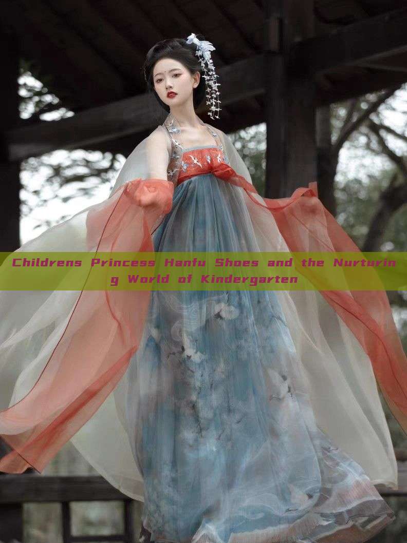 Childrens Princess Hanfu Shoes and the Nurturing World of Kindergarten Childrens Princess Hanfu Shoes and the Nurturing World of Kindergarten