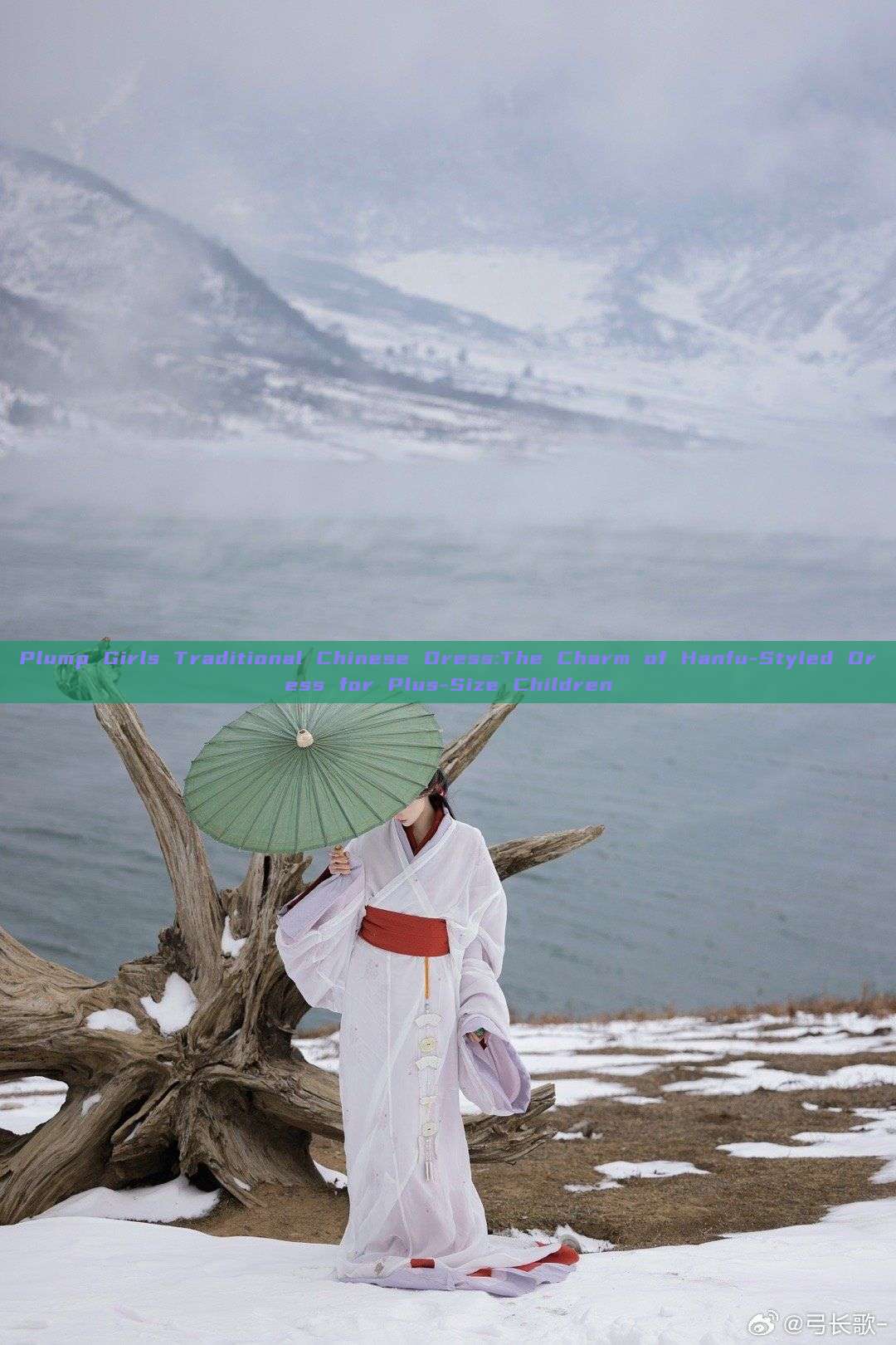 Plump Girls Traditional Chinese Dress:The Charm of Hanfu-Styled Dress for Plus-Size Children Plump Girls Traditional Chinese Dress:The Charm of Hanfu-Styled Dress for Plus-Size Children