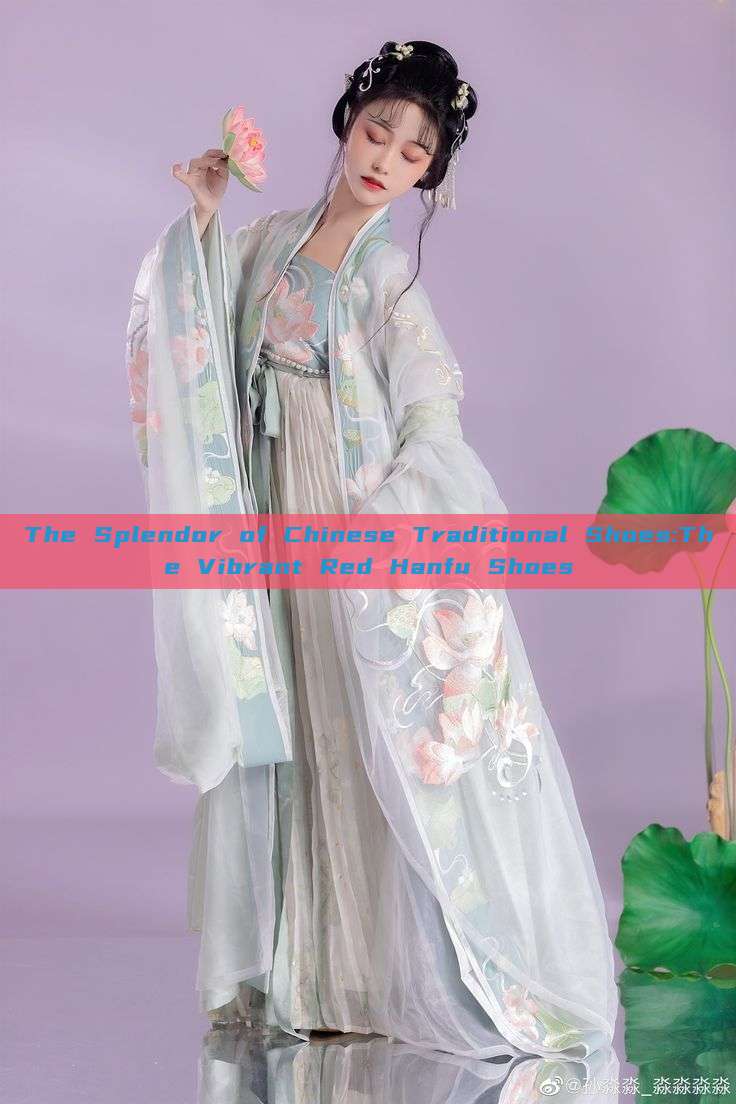 The Splendor of Chinese Traditional Shoes:The Vibrant Red Hanfu Shoes The Splendor of Chinese Traditional Shoes:The Vibrant Red Hanfu Shoes