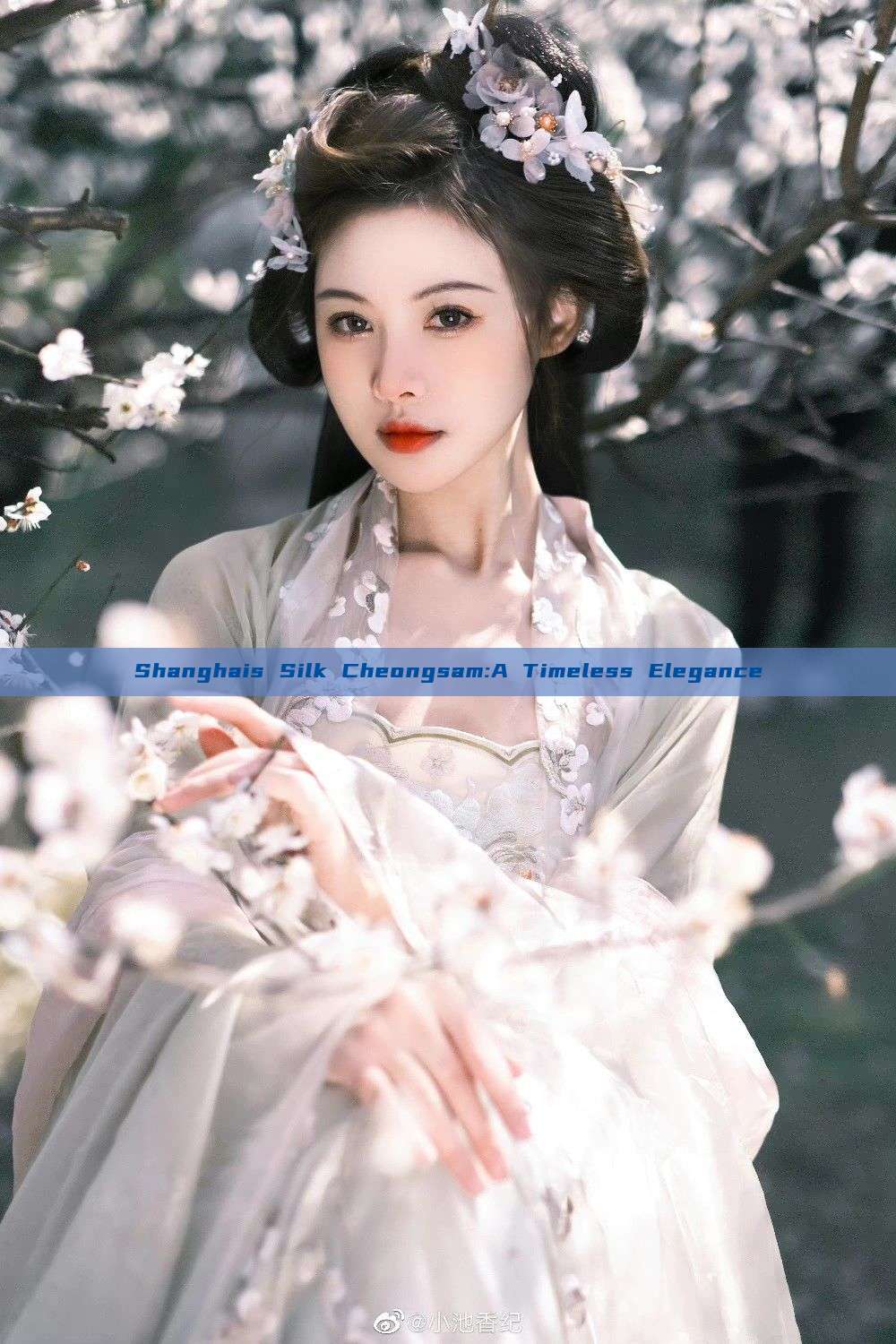 Shanghais Silk Cheongsam:A Timeless Elegance Shanghais Silk Cheongsam:A Timeless Elegance