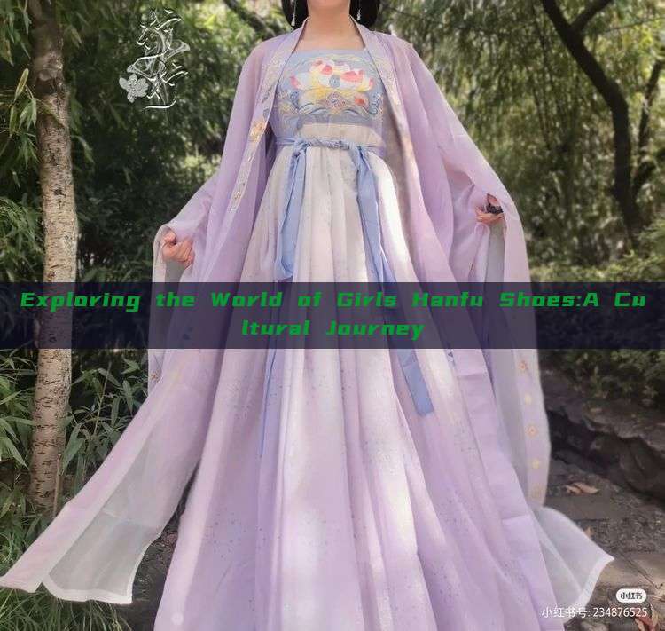 Exploring the World of Girls Hanfu Shoes:A Cultural Journey Exploring the World of Girls Hanfu Shoes:A Cultural Journey