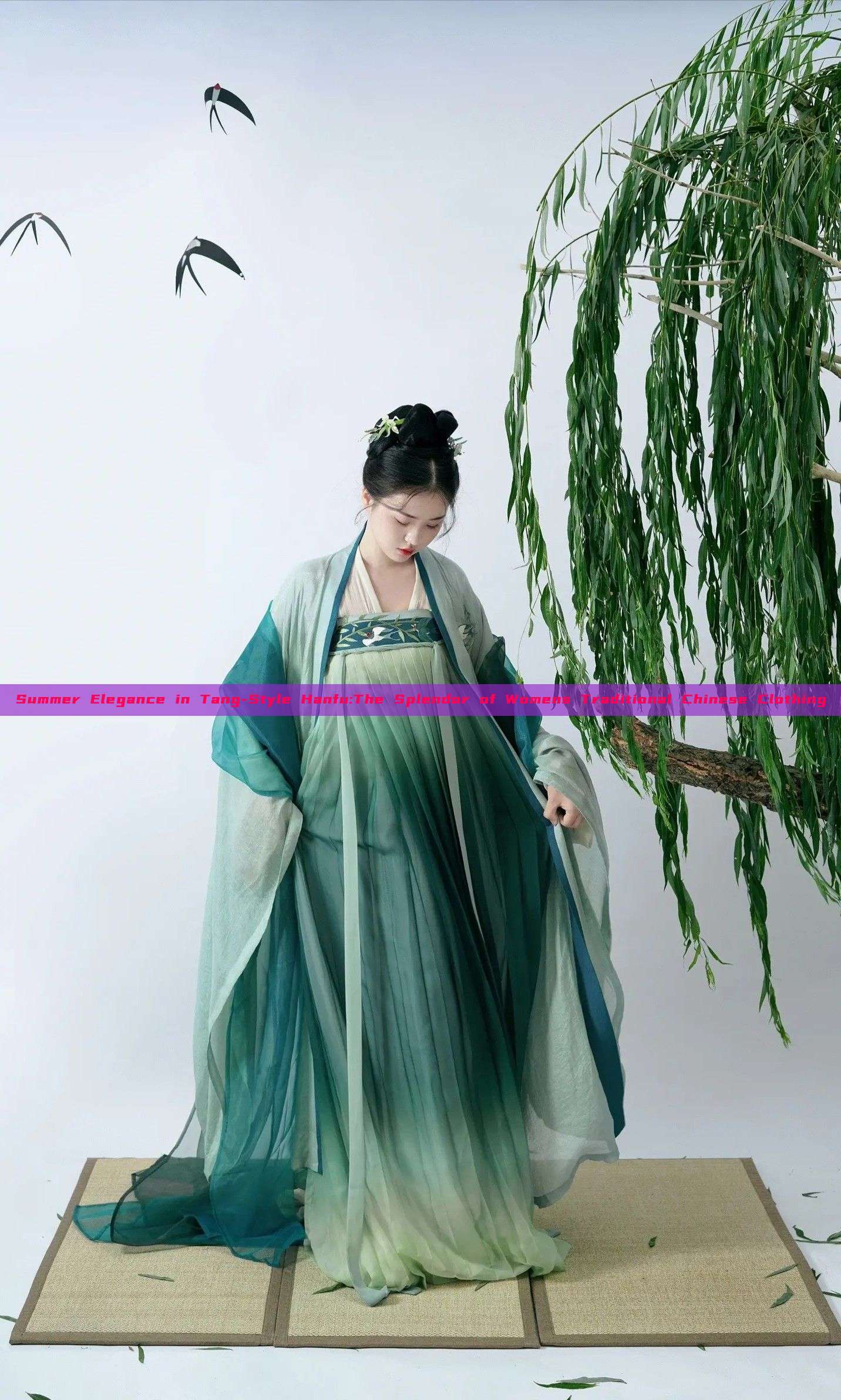 Summer Elegance in Tang-Style Hanfu:The Splendor of Womens Traditional Chinese Clothing Summer Elegance in Tang-Style Hanfu:The Splendor of Womens Traditional Chinese Clothing