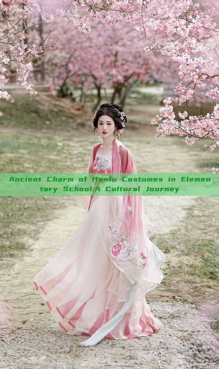 Ancient Charm of Hanfu Costumes in Elementary School:A Cultural Journey