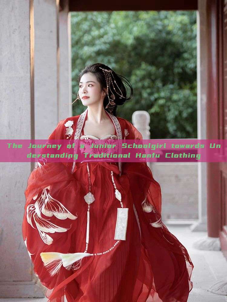 The Journey of a Junior Schoolgirl towards Understanding Traditional Hanfu Clothing The Journey of a Junior Schoolgirl towards Understanding Traditional Hanfu Clothing