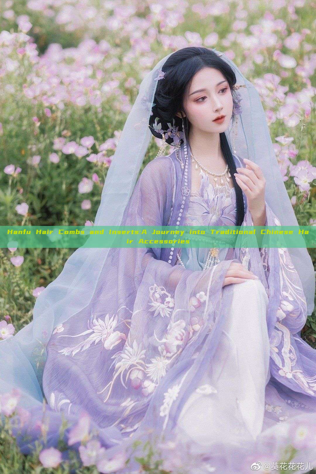 Hanfu Hair Combs and Inserts:A Journey into Traditional Chinese Hair Accessories Hanfu Hair Combs and Inserts:A Journey into Traditional Chinese Hair Accessories